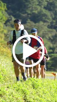 BIB:  <button type="button" onclick="openModal(26578084)" class="btn btn-primary btn-sm float-right" data-toggle="modal" data-target=".modal-high-quality">
                <i class="fa fa-download"></i> Download
                </button>